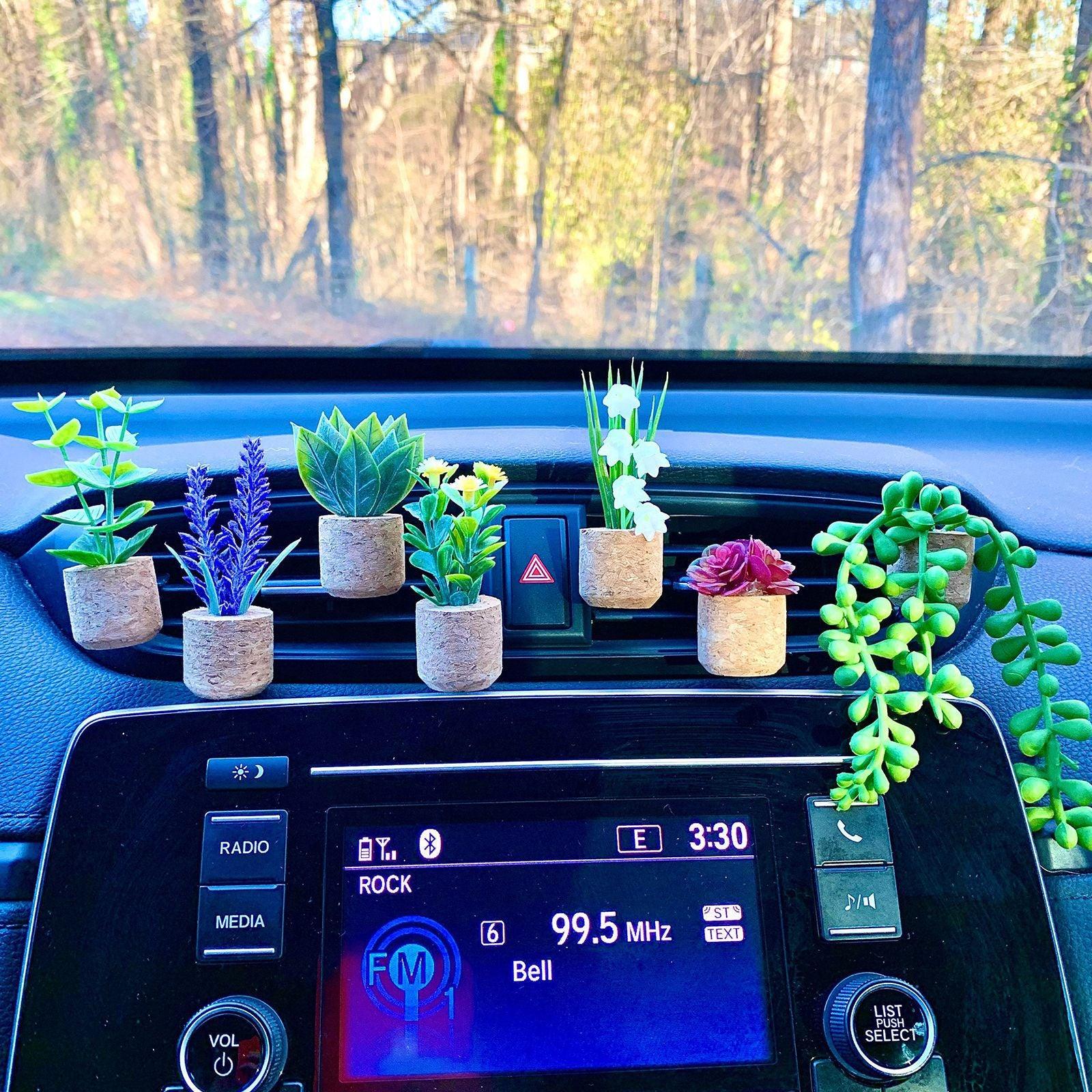 Succulent Cactus Potted Car Air Freshner