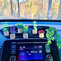 Succulent Cactus Potted Car Air Freshner