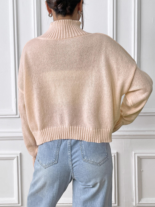 Pull à col roulé appliqué brodé avec nœud pour femme